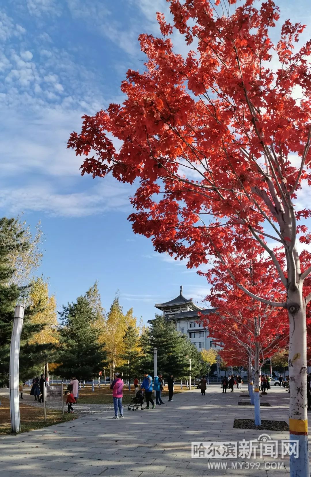 亚洲制服丝中文字幕 帮助用户定位高质量资源