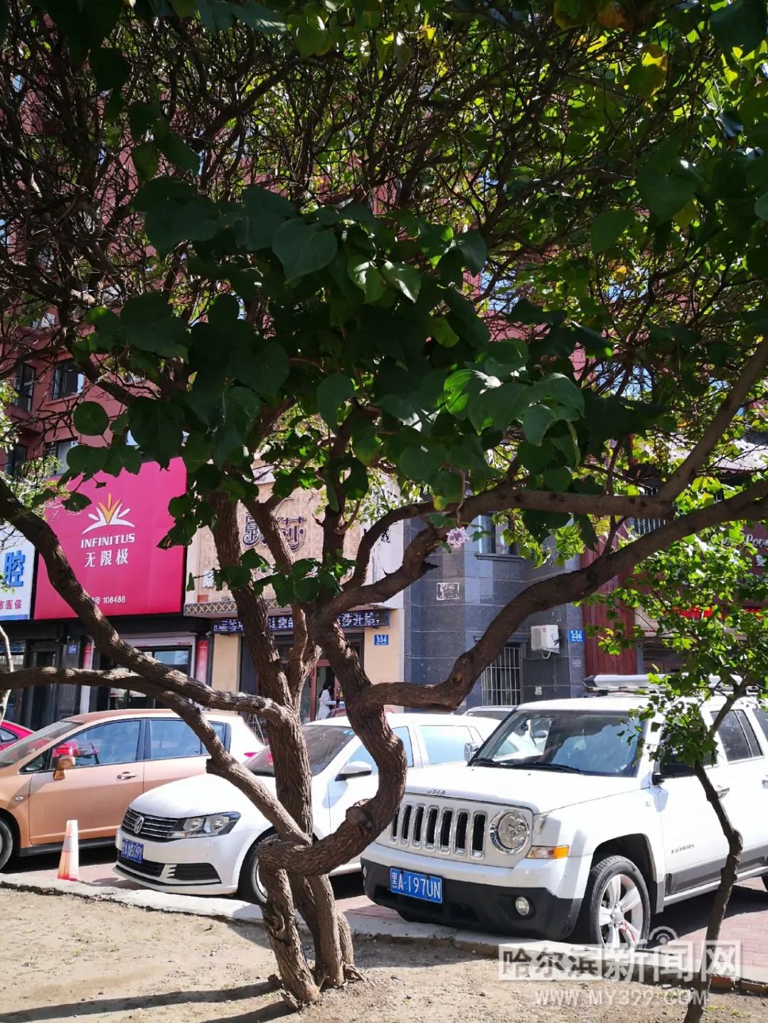 亚洲制服丝中文字幕 帮助用户定位高质量资源