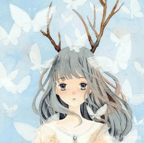 火影忍者在线免费观看 不仅画质和翻译有保障