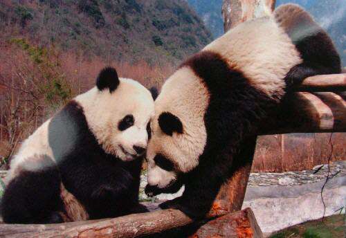 777精品久无码人妻蜜桃 