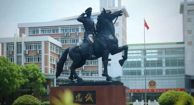 啄木鸟影视雌狐酒店