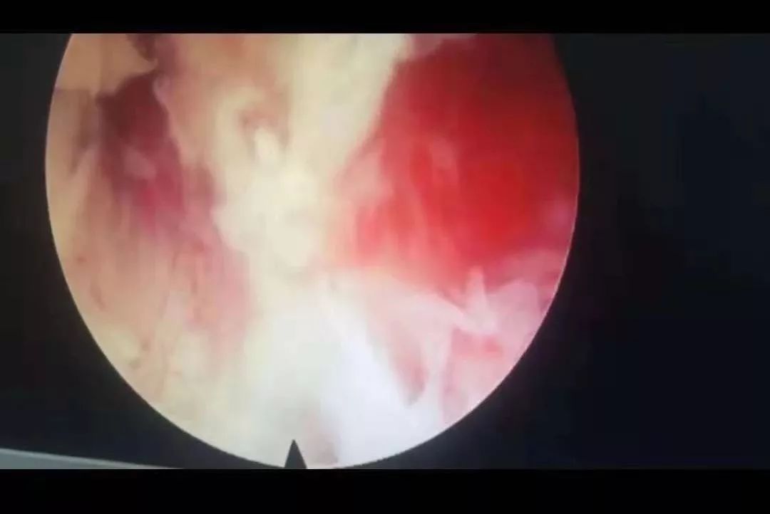 亚洲 制服 欧美 中文字幕