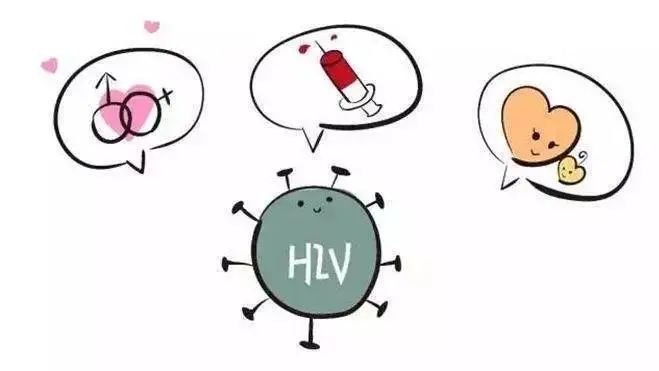 大菠萝福建APP导航导入免费