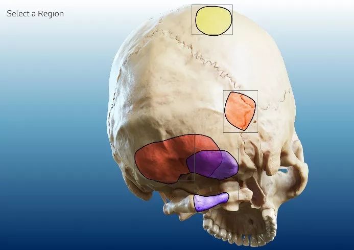 the sims同人动漫