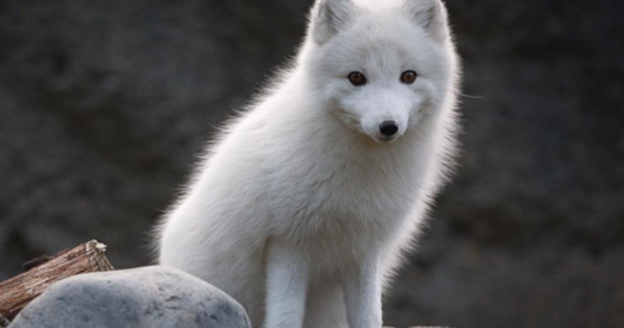 幼幼乱行ll1655 幼幼我非常乐意为你提供帮助