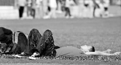 特朗嘉·莉拉同人动漫