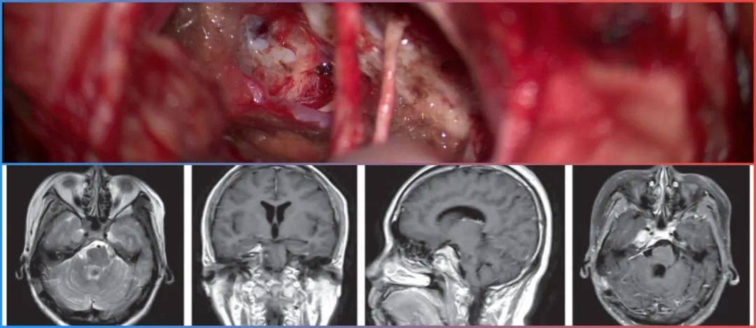 6565m.cc6565m.cc 未成年青少年色情 如果您或他人接触到此类信息