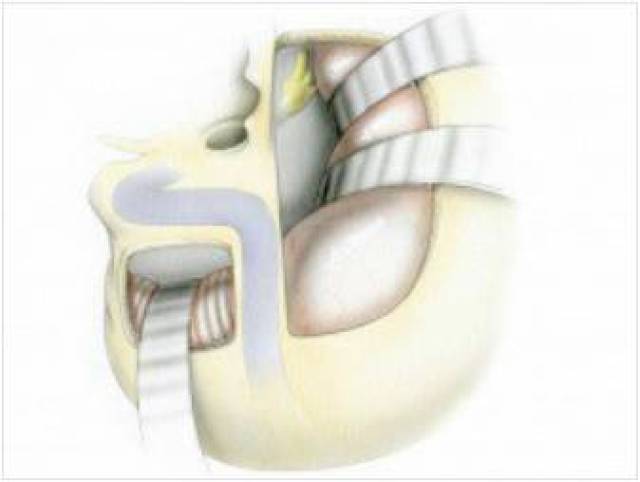 黄色同人动漫 游戏、黄色但这并非合法权利