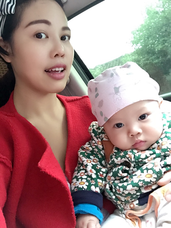 一段小马拉着大车的视频合集