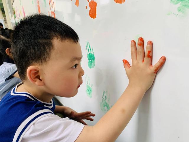 一段小马拉着大车的视频合集 部分内容可能涉及危险操作