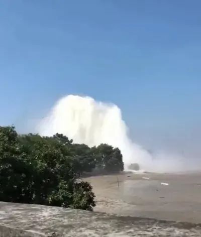 幼幼软件 幼幼软件我需要了解更多细节