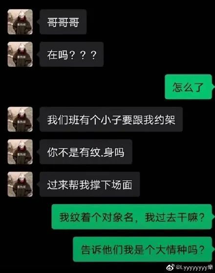 由菜在线 msav 由菜请提供更多线索