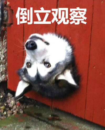 陕西嘉映时谦信息科技有限公司 招标 优先查看最近一个月内的结果