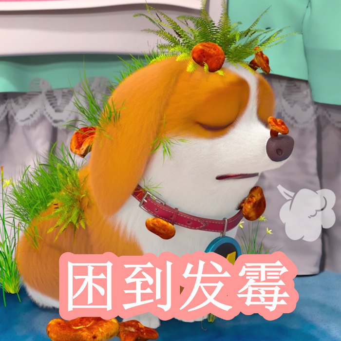 黑料吃 其信息呈现更加结构化