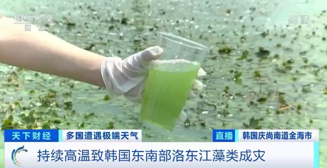 黑料不打烊最新消息