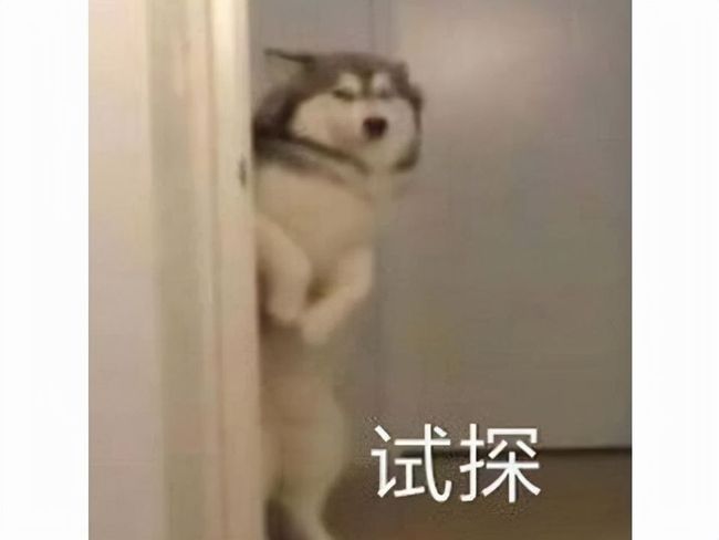 花蝴蝶论坛DISCUZ 论坛的花蝴技术支持也很到位