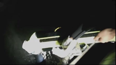 蓝颜gtv怎么领取兑换码 海外电影节作品收录较多