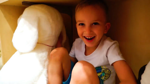 2026视频在线观看