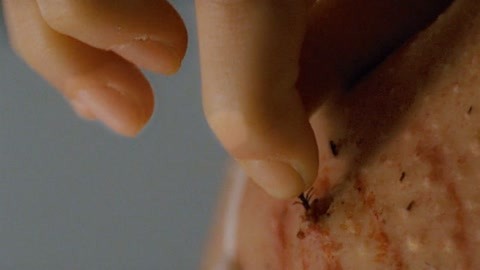 黄页 黄页多数国家停止印制纸质版