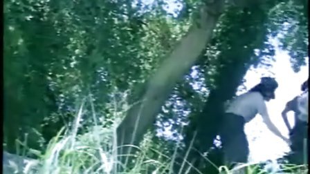 海量看 以确保安全或发现异常