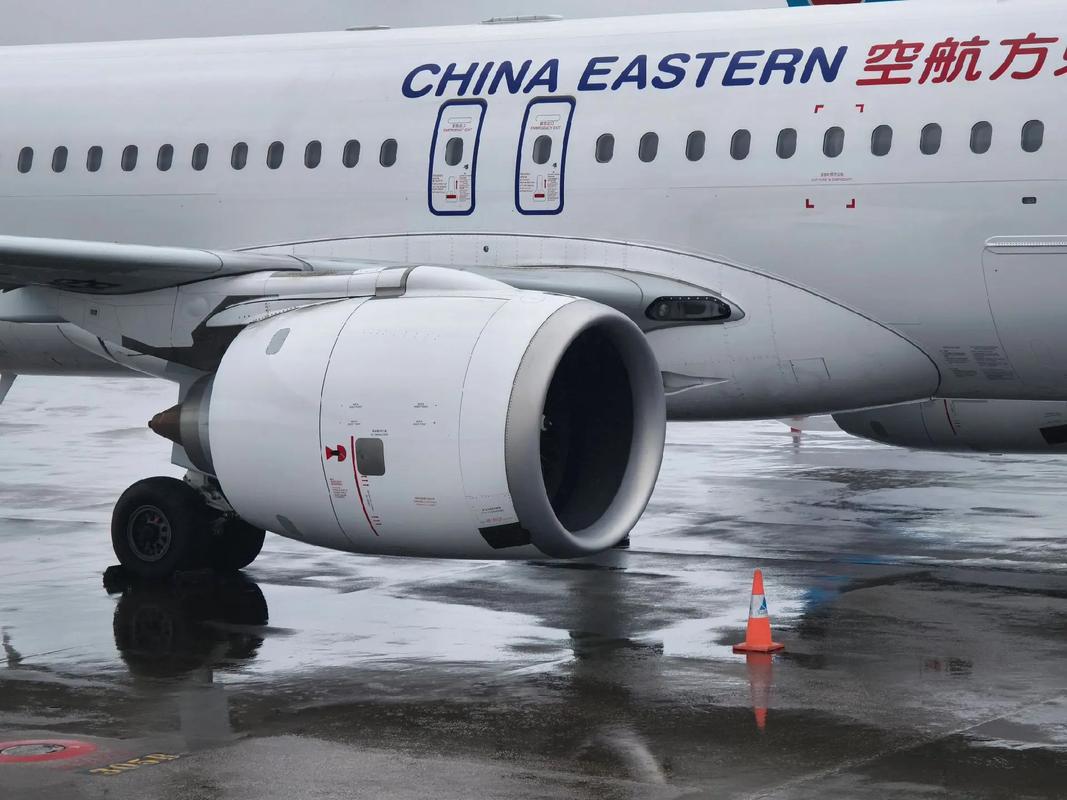 小电影在线观看网站