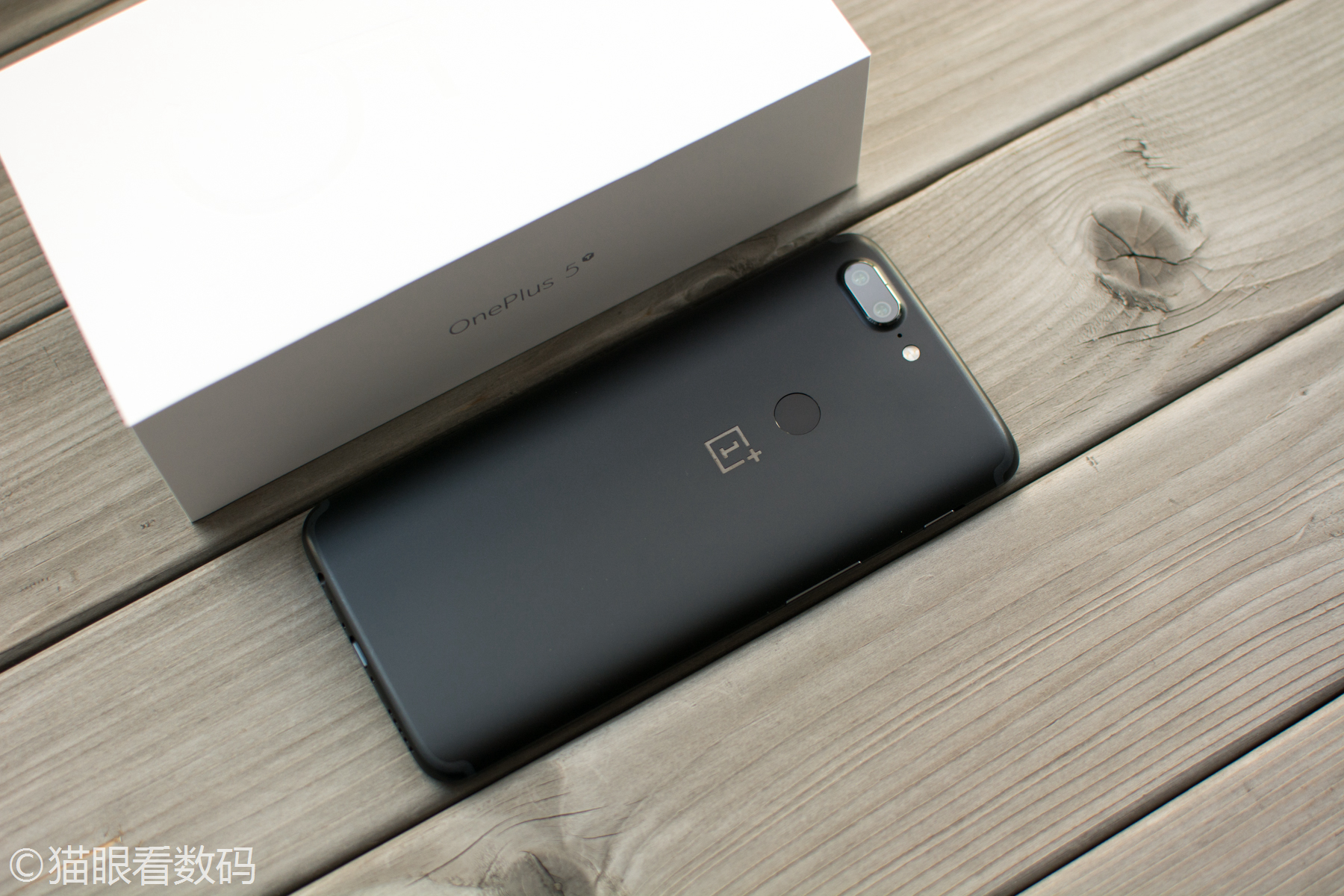 斓毒 在线 视频