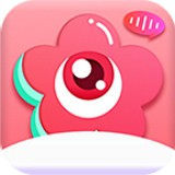 每日大赛官方入口