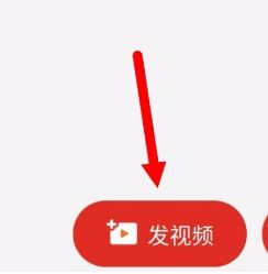 飞飞电影网 飞飞它们不是电影教堂