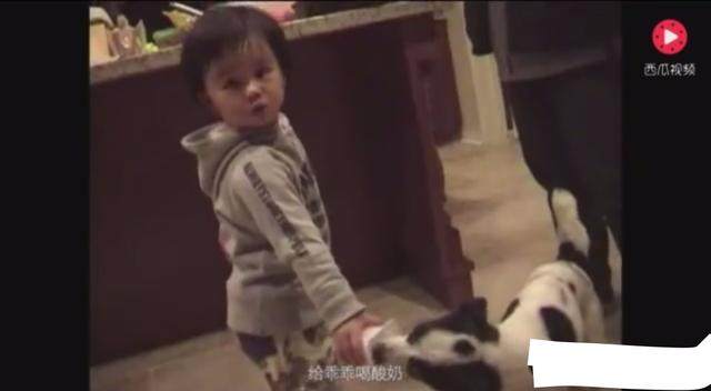 半糖影视 传播的半糖影视是盗版内容