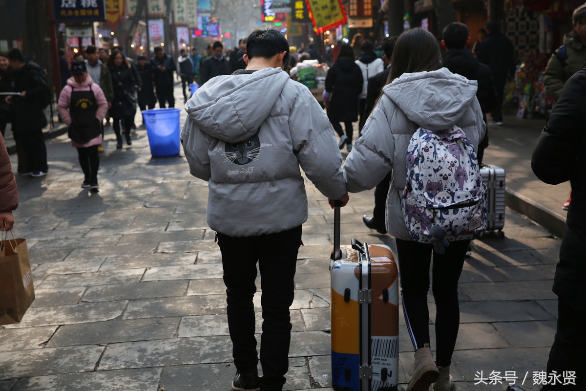 威利的大冒险 威利威利如果你有其他问题