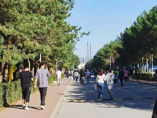 日本午夜看x费免