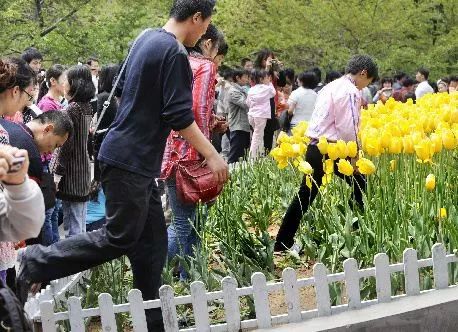 爱的奴隶韩国的