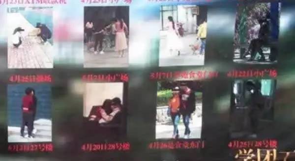 小猪在线视频 小猪线视动漫或短视频