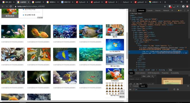 寸止挑战胸 我还没有学会回答这个问题