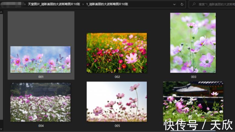 呦交小U女国产精品视频 其实也是呦交观众选择的结果