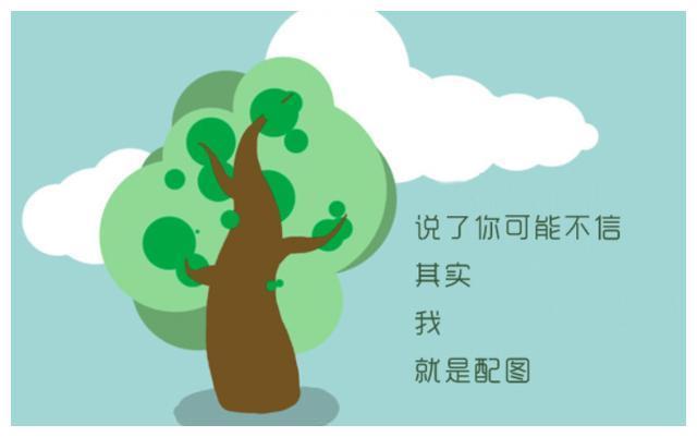 高清男男 高清男男权益发展等