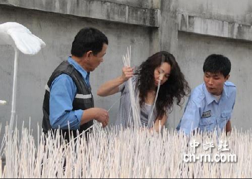 困困狗最新一期