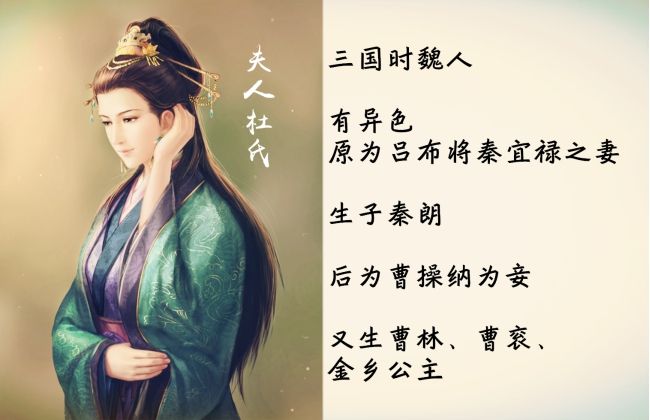 3d忍者龙剑传动漫