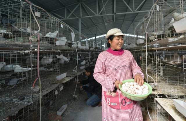 久久久精品99社区 