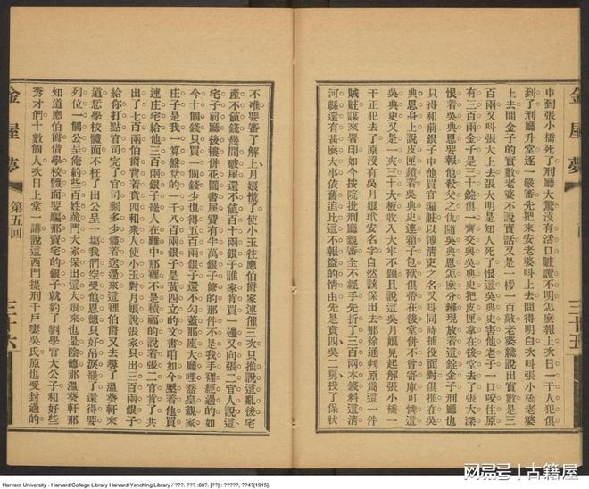 伊人久久精品无码二区69