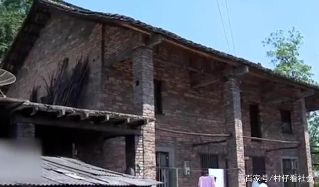 啄木鸟字幕剧情