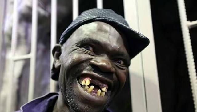 小马拉大车 母子小马拉大车 