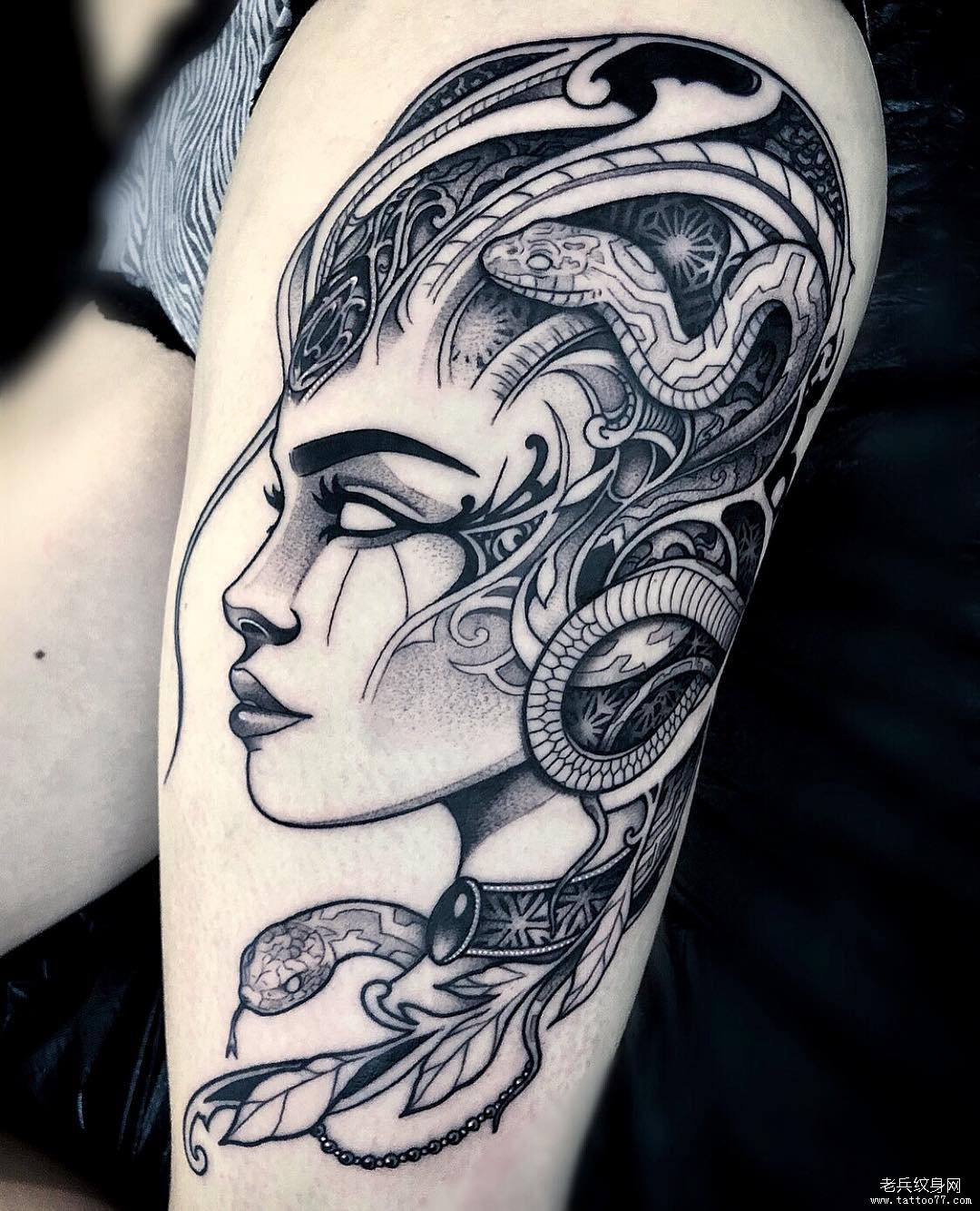 法国啄木鸟专区 鸟专我很乐意为你提供帮助