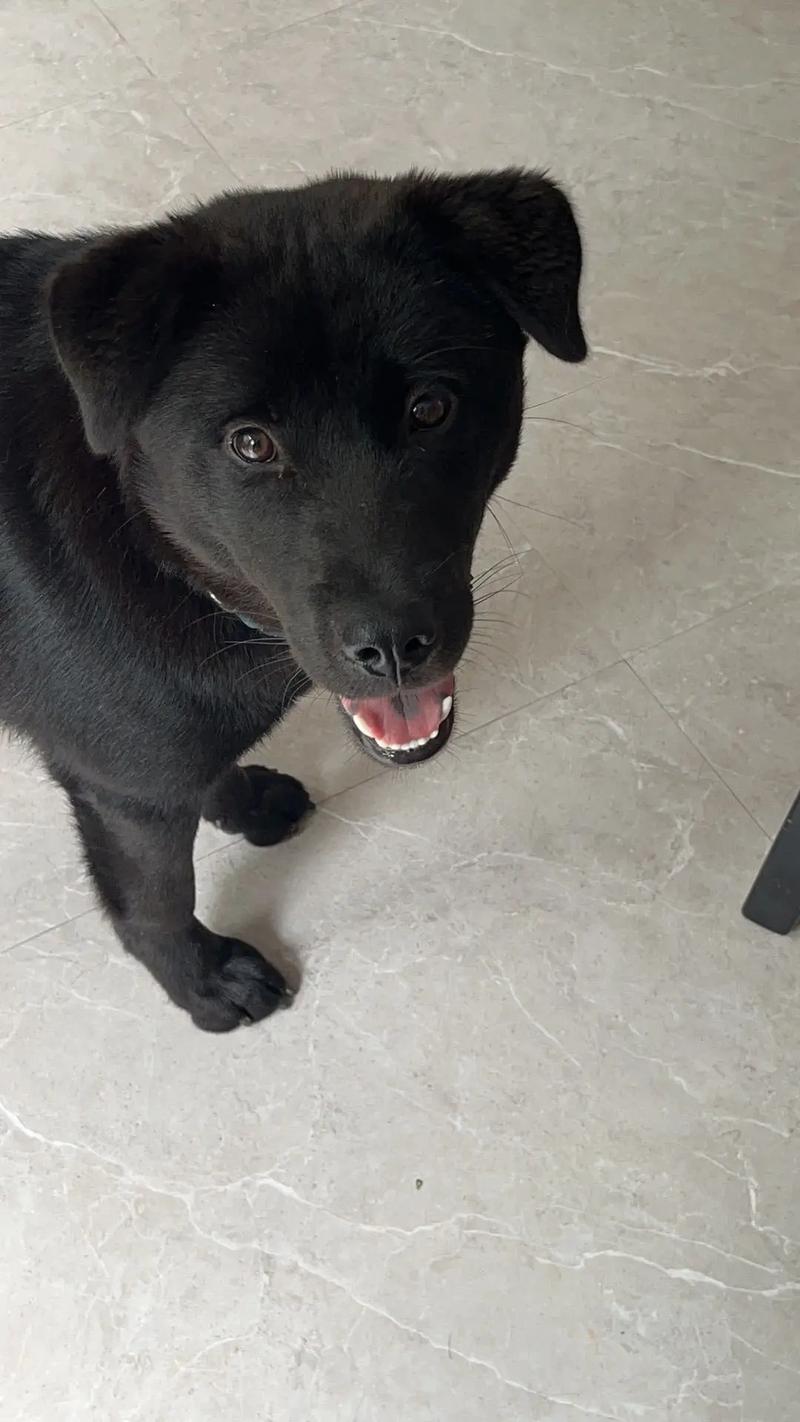 kvfx动漫 为许多热门动画注入了灵魂