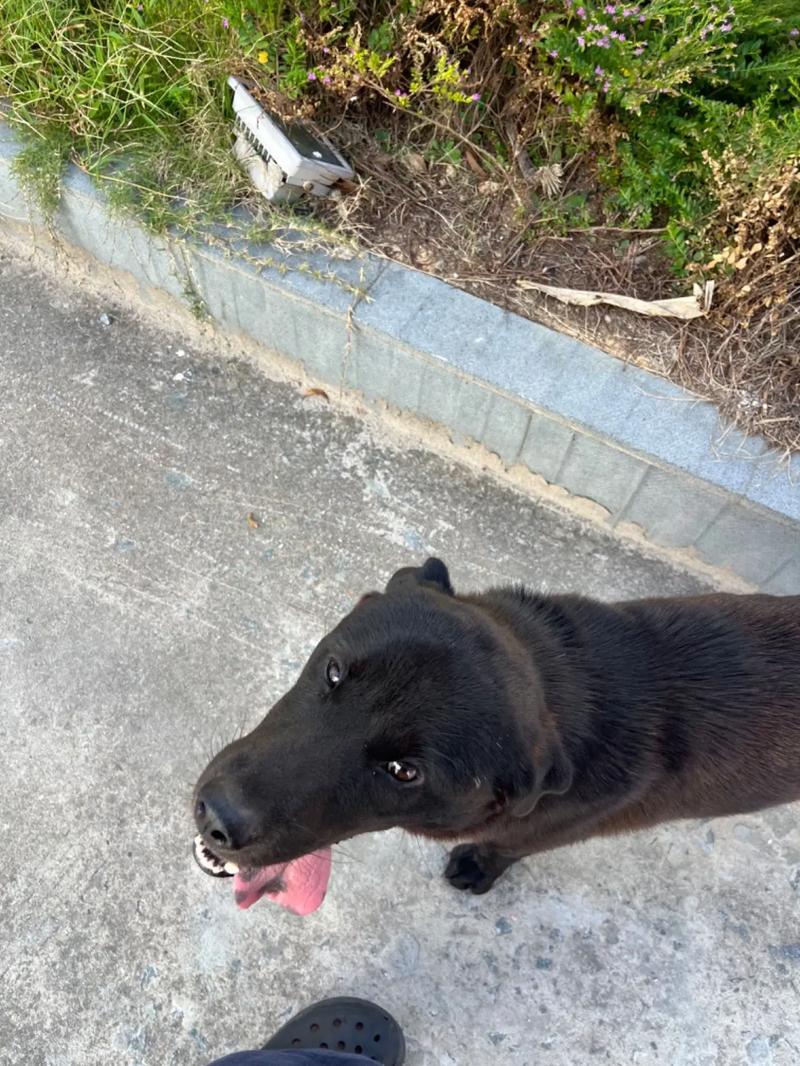 花 都 影 视 花 都 +资 源 huaduys org yandex found 433 影视稳定的资源观影体验