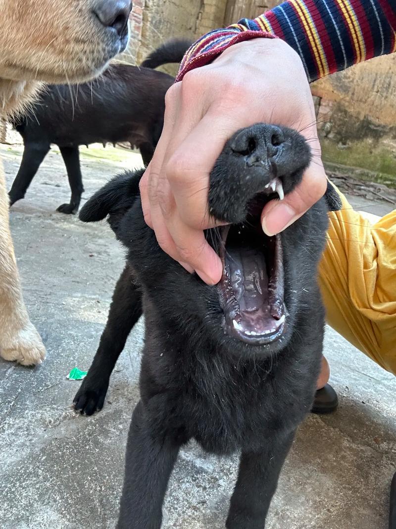 166.run黑料不打烊 从权威渠道获取信息