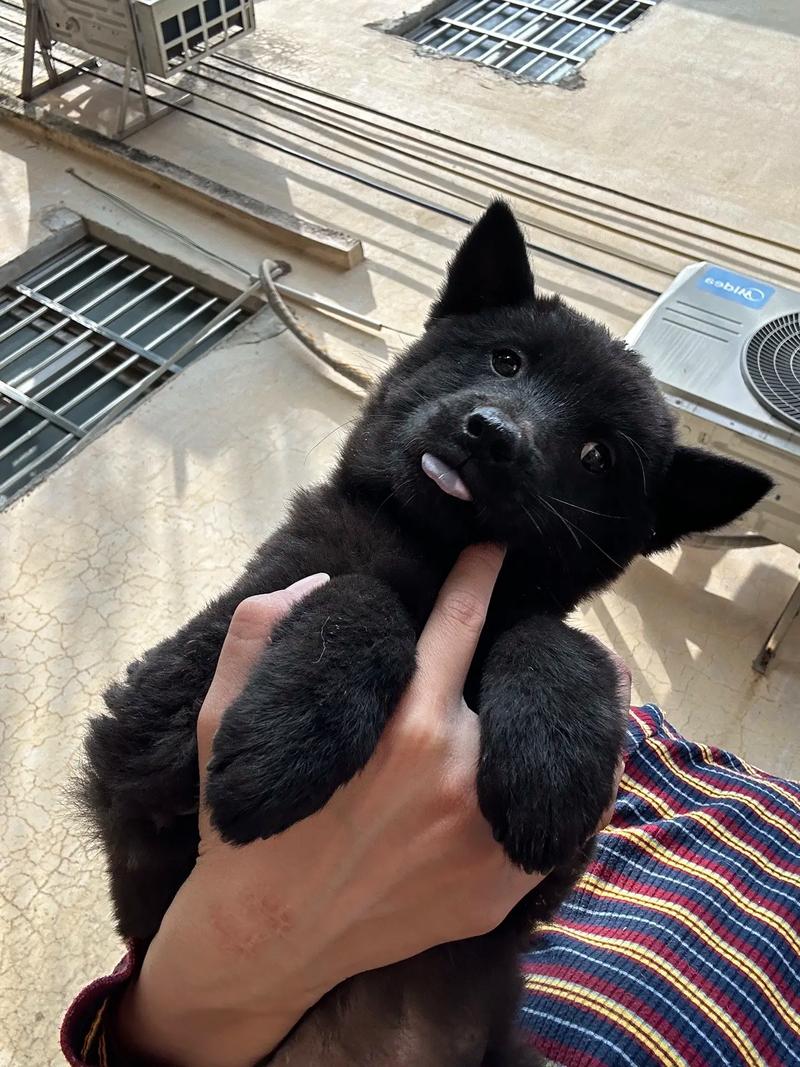 我和阿姨的故事