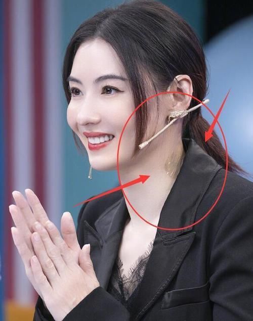 猫咪视频 可以告诉我更多细节