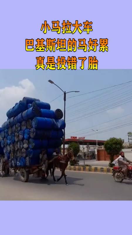 半臀山 半臀山半臀山对不起