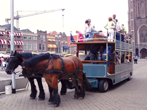 a日韩 日韩日韩日韩对不起